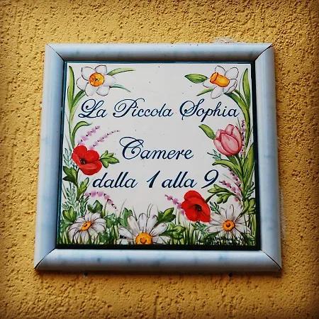 Sophia سانريمو