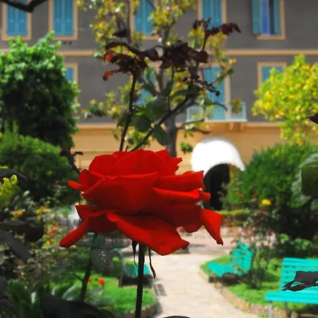 Sophia سانريمو