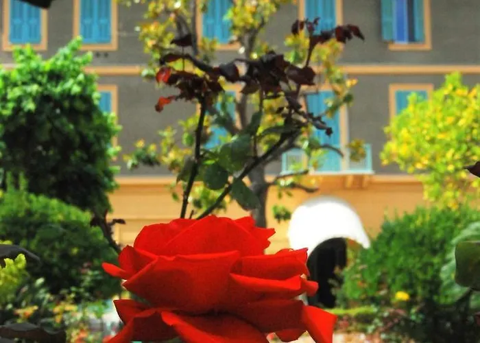 Sophia 3* San Remo